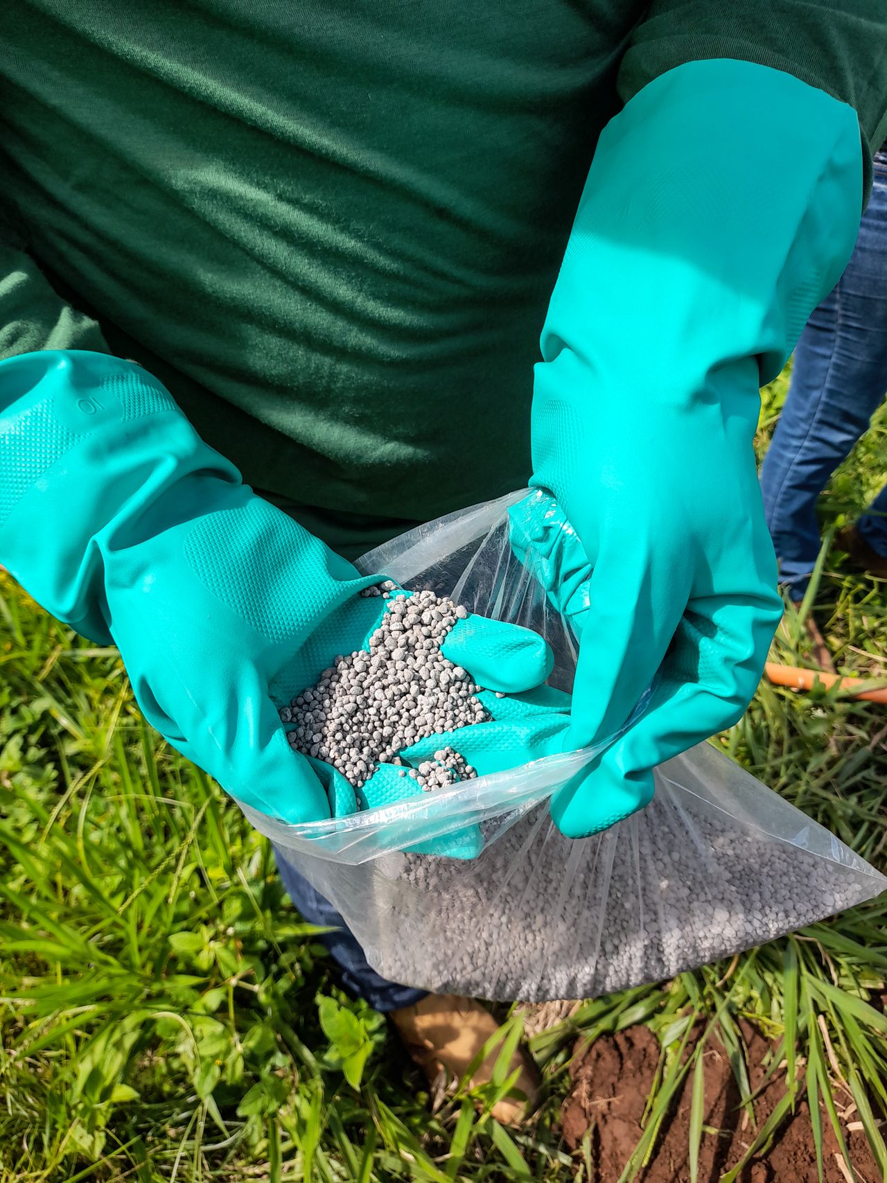 Hands holding granular minerals and additives